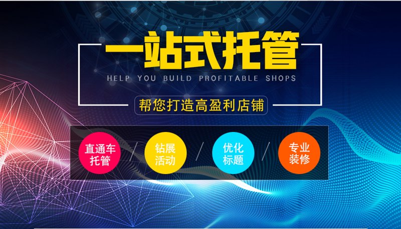 AI全自动养站程序：为网站注入新的活力